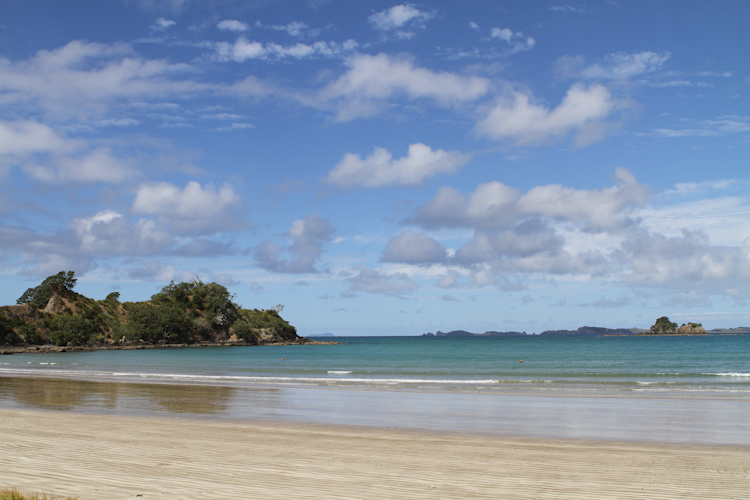 NZ-Wedding-Photographer-Whangaruru-145