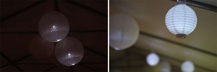 NZ-Wedding-Photographer-Whangaruru-159