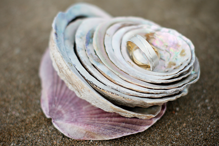 NZ-Wedding-Photographer-Whangaruru-17