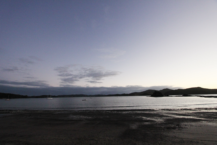 NZ-Wedding-Photographer-Whangaruru-210