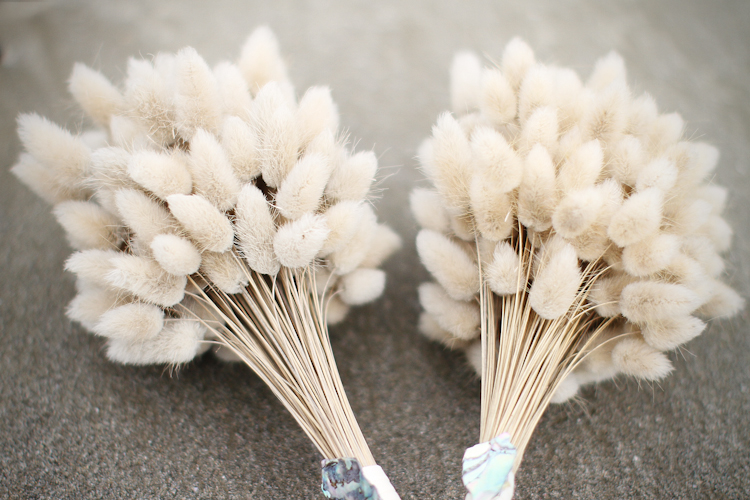 NZ-Wedding-Photographer-Whangaruru-3