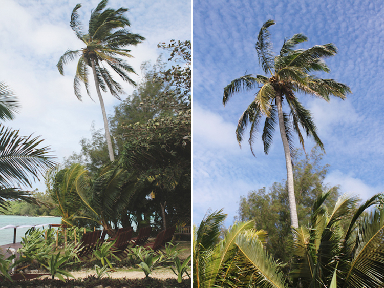Rarotonga-Wedding-NZ--Photographer-14 copy