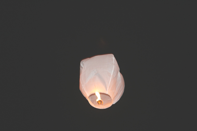 Rarotonga-Wedding-NZ--Photographer-458