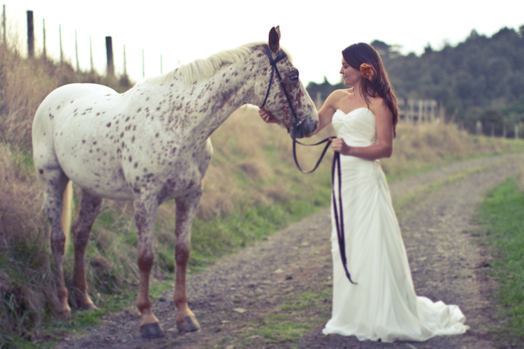 auckland-wedding-photographer-nz-hunua-horse-17