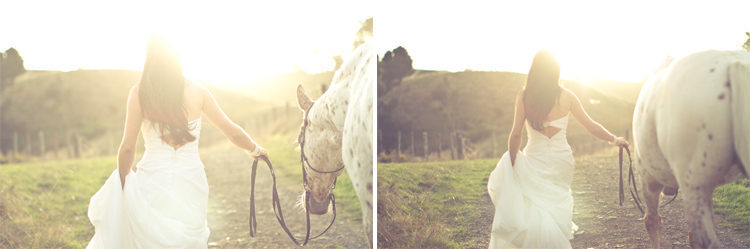auckland-wedding-photographer-nz-hunua-horse-19