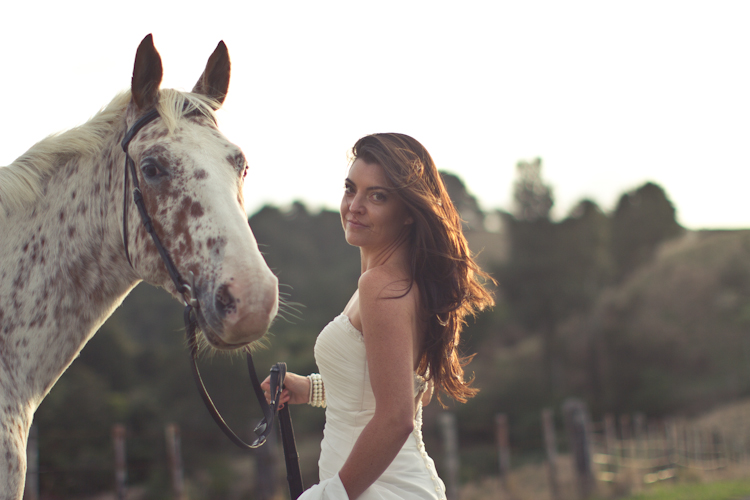 auckland-wedding-photographer-nz-hunua-horse-20