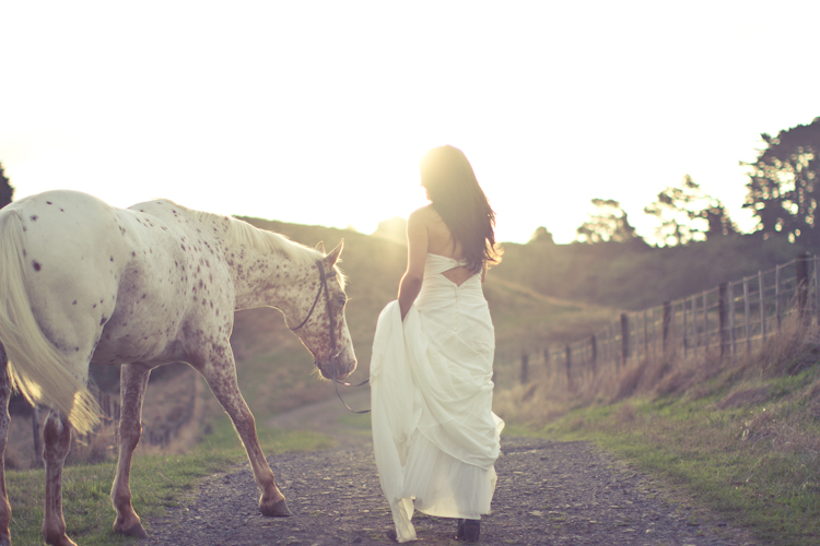 auckland-wedding-photographer-nz-hunua-horse-21