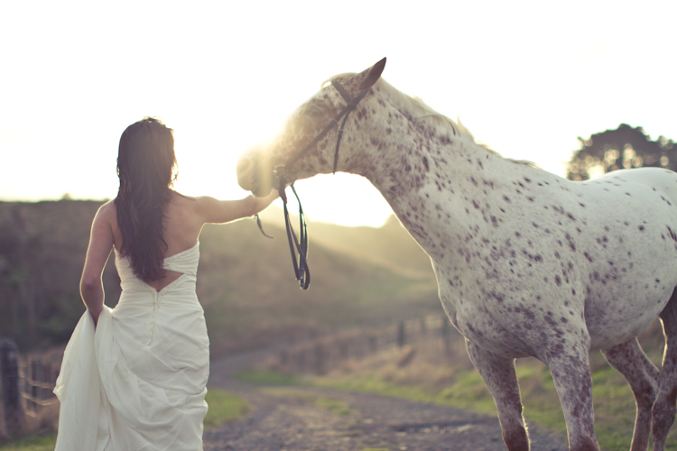 auckland-wedding-photographer-nz-hunua-horse-22