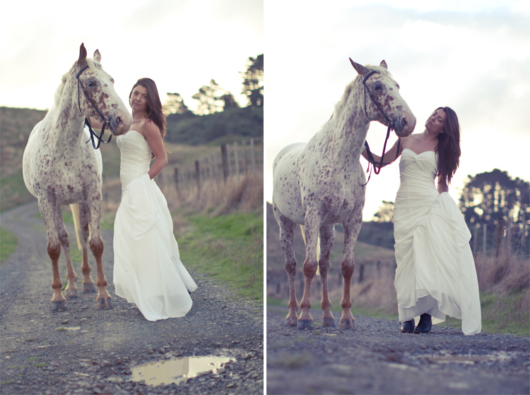 auckland-wedding-photographer-nz-hunua-horse-26