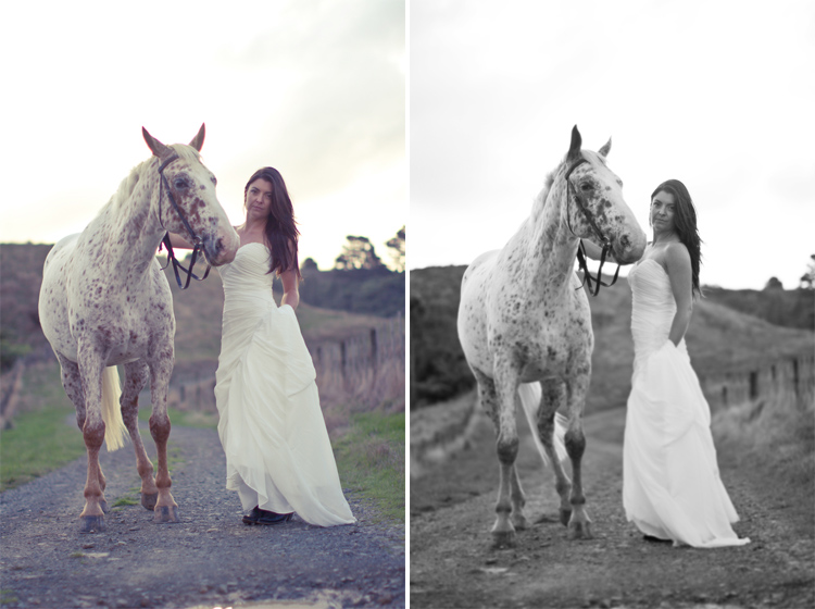 auckland-wedding-photographer-nz-hunua-horse-28