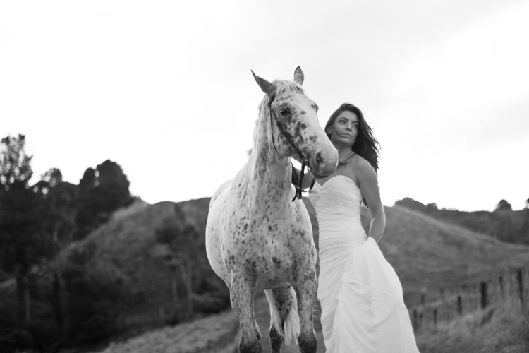 auckland-wedding-photographer-nz-hunua-horse-29