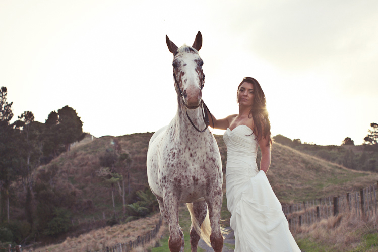 auckland-wedding-photographer-nz-hunua-horse-30