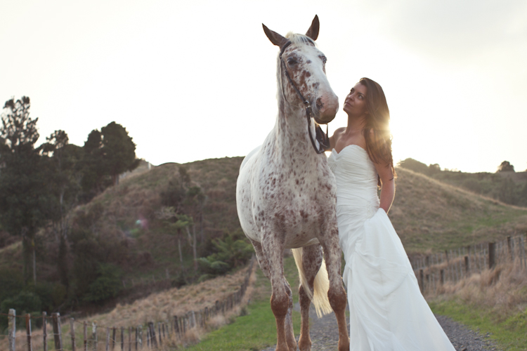 auckland-wedding-photographer-nz-hunua-horse-31
