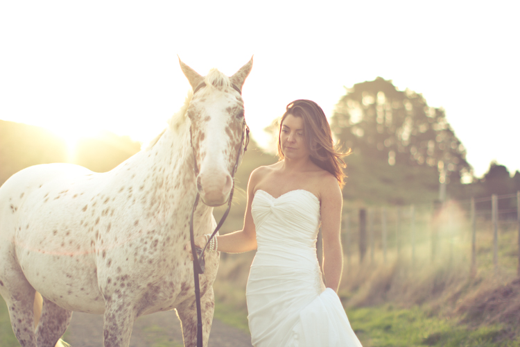 auckland-wedding-photographer-nz-hunua-horse-35