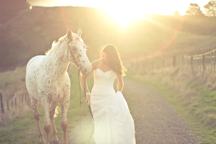 auckland-wedding-photographer-nz-hunua-horse-36