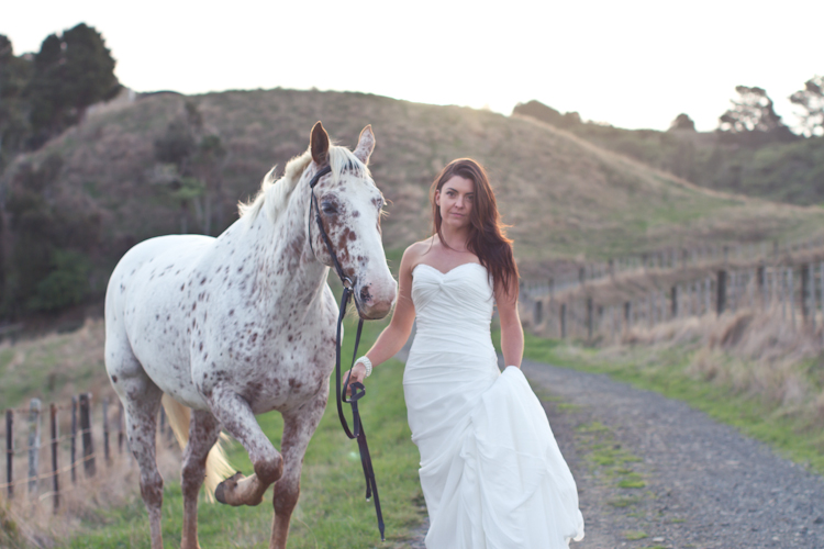 auckland-wedding-photographer-nz-hunua-horse-37