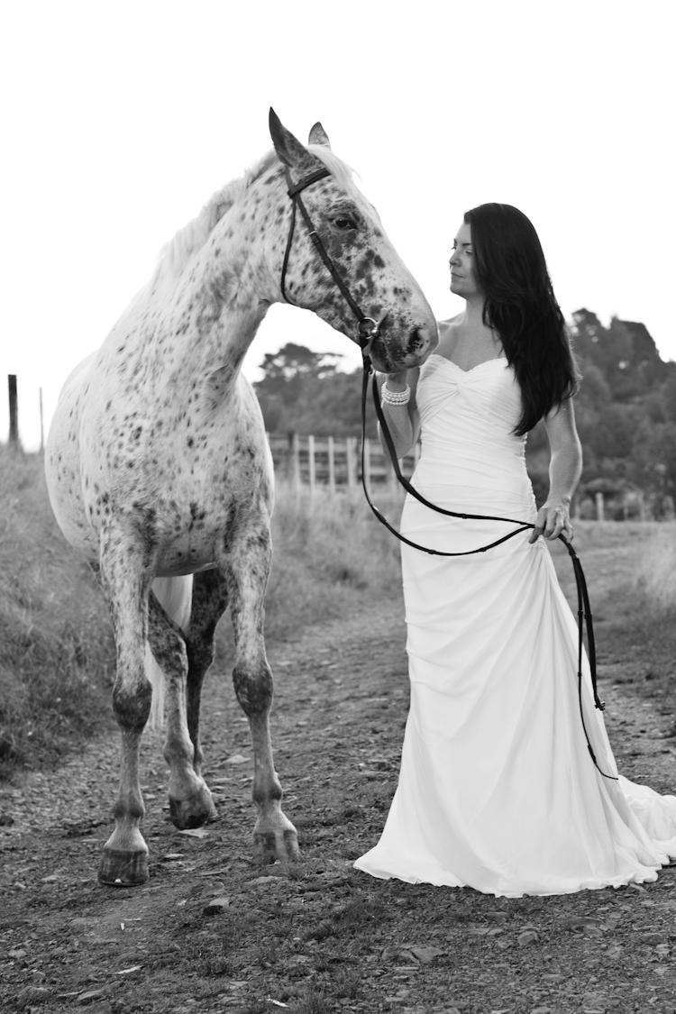 auckland-wedding-photographer-nz-hunua-horse-4