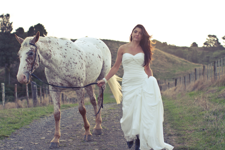 auckland-wedding-photographer-nz-hunua-horse-40