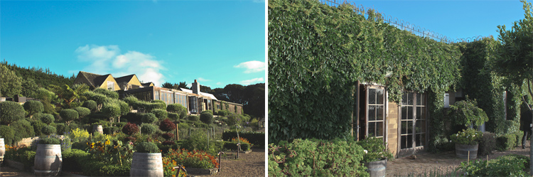 waiheke-wedding-auckland-nz-125