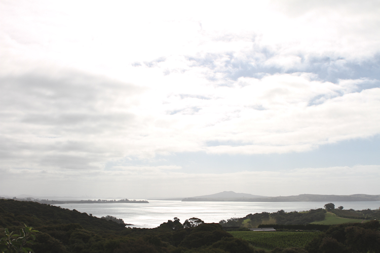 waiheke-wedding-auckland-nz-70