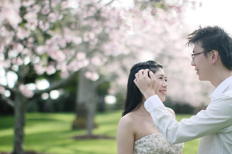 nz_wedding_engagement_cornwall_park-15