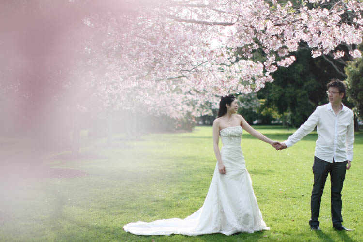 nz_wedding_engagement_cornwall_park-19