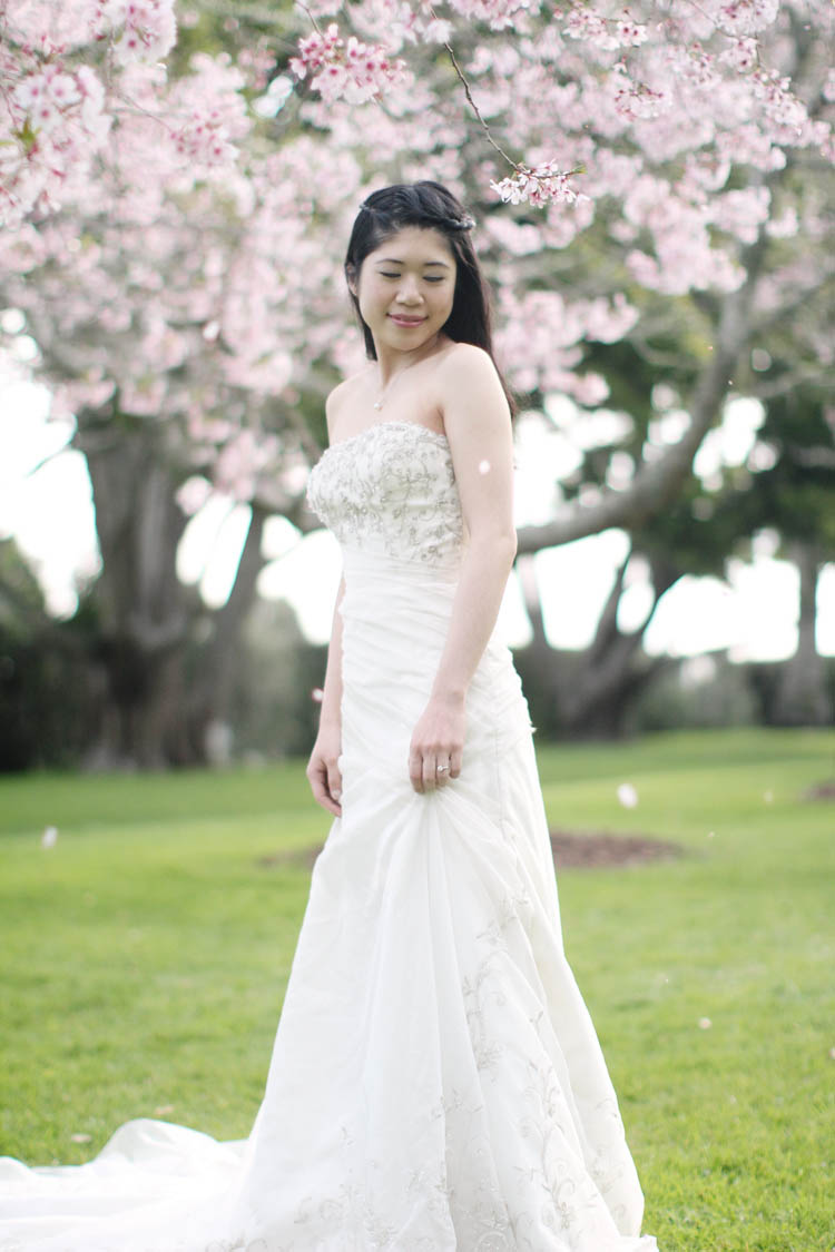 nz_wedding_engagement_cornwall_park-25