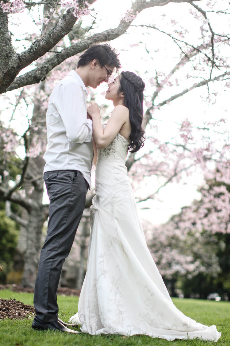 nz_wedding_engagement_cornwall_park-37