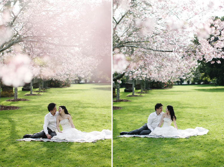 nz_wedding_engagement_cornwall_park-48 copy