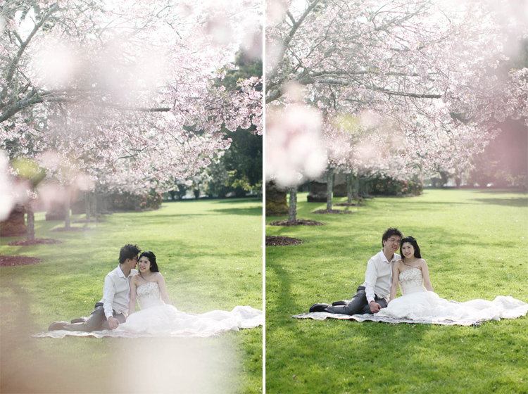 nz_wedding_engagement_cornwall_park-50 copy