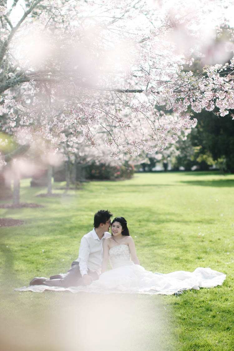 nz_wedding_engagement_cornwall_park-51