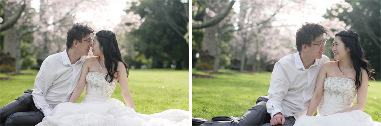 nz_wedding_engagement_cornwall_park-57 copy