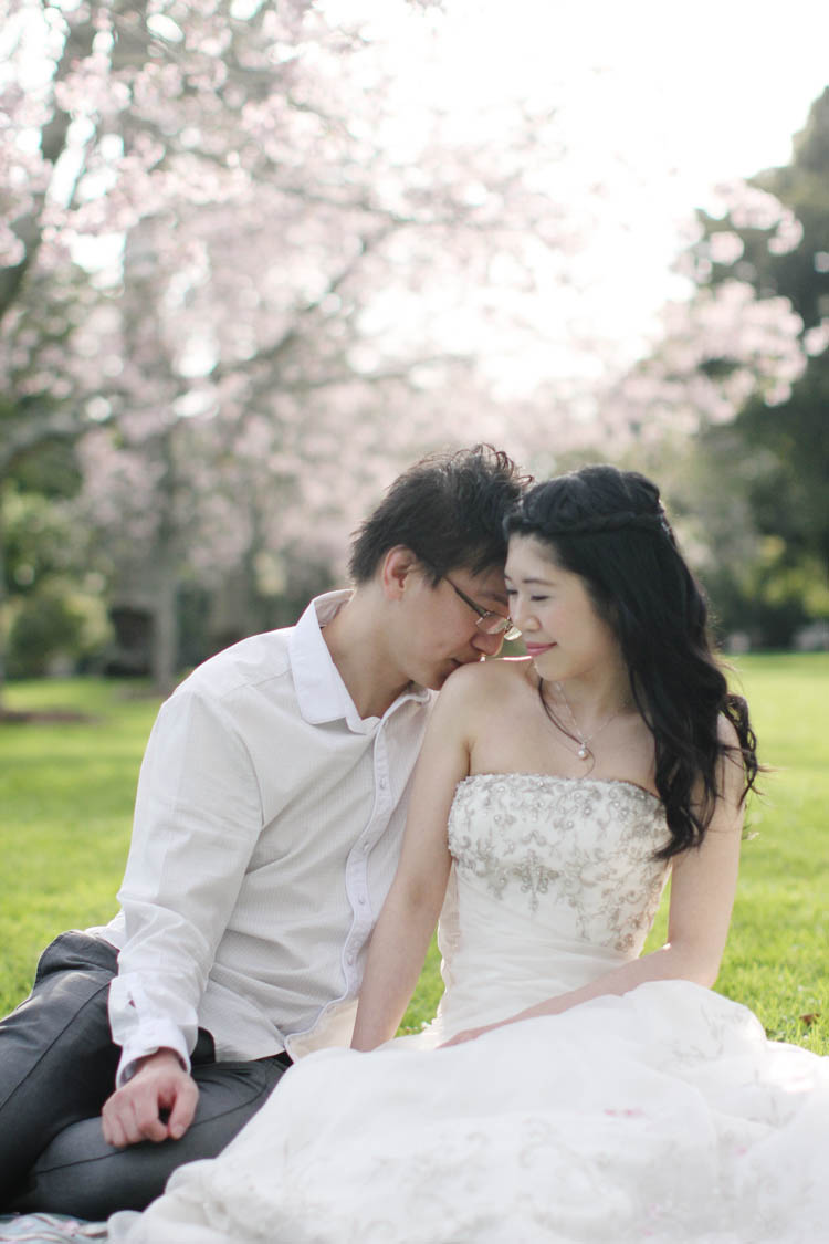 nz_wedding_engagement_cornwall_park-59