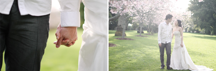 nz_wedding_engagement_cornwall_park-70 copy