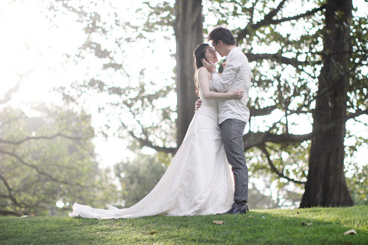 nz_wedding_engagement_cornwall_park-80