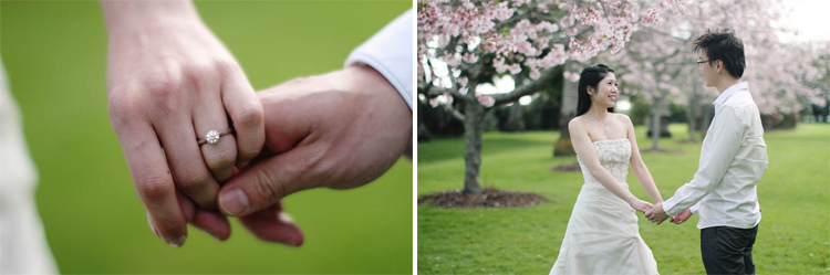 nz_wedding_engagement_cornwall_park-9 copy