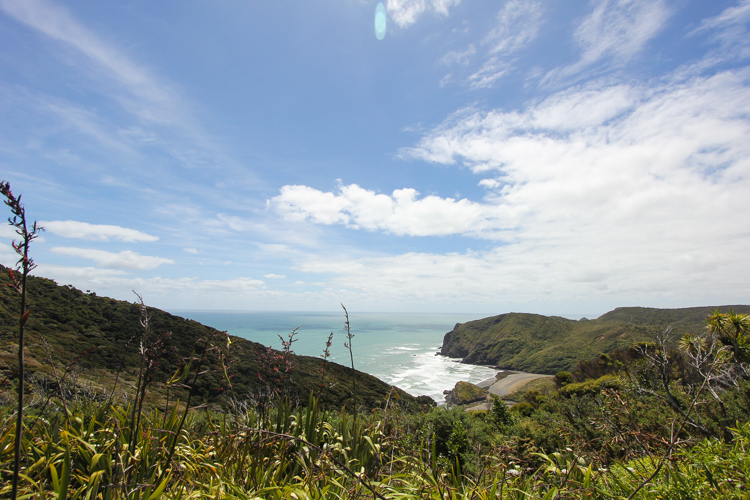 Anawhata_beach_wedding-69