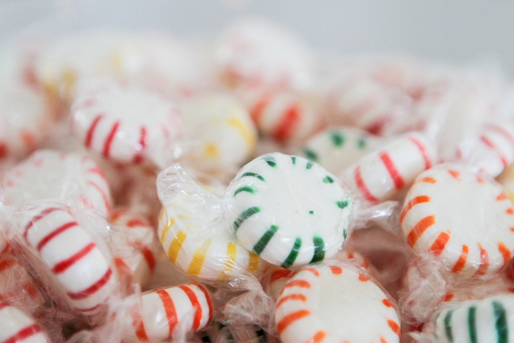 Botanical_Gardens_Wedding-266