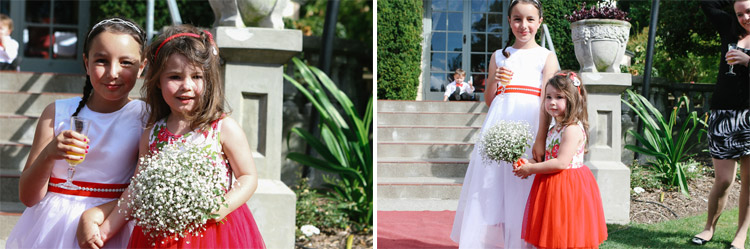 Wharerata_Palmerston_North_wedding-187