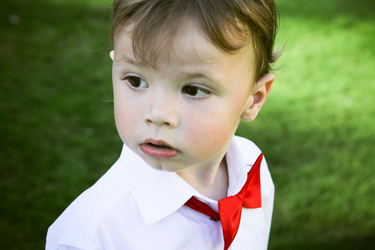 Wharerata_Palmerston_North_wedding-228