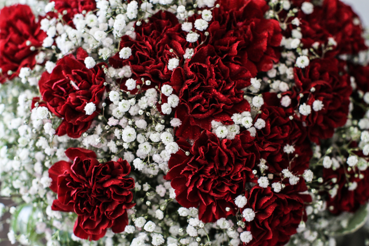 Wharerata_Palmerston_North_wedding-41