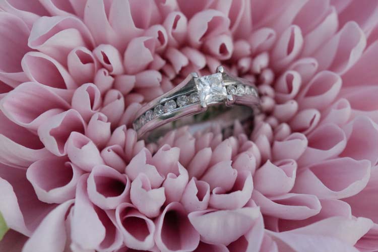 Auckland_wedding_cornwall_epsom-21a