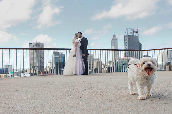Perth_Wedding_14