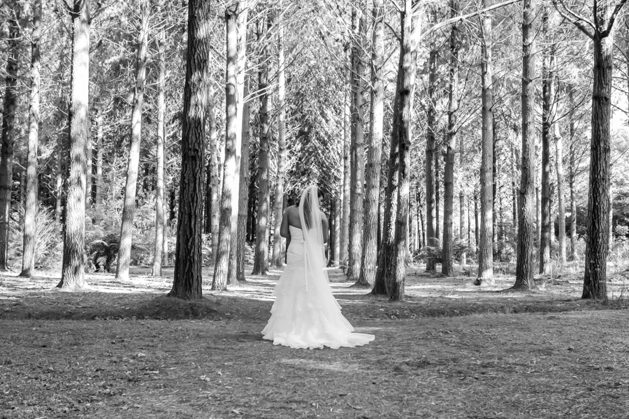 auckland_wedding_photographer_hunua-148