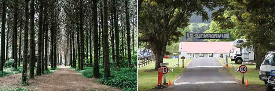 auckland_wedding_photographer_hunua-81