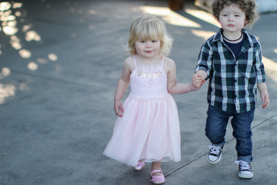 botanical_gardens_wedding_auckland-141