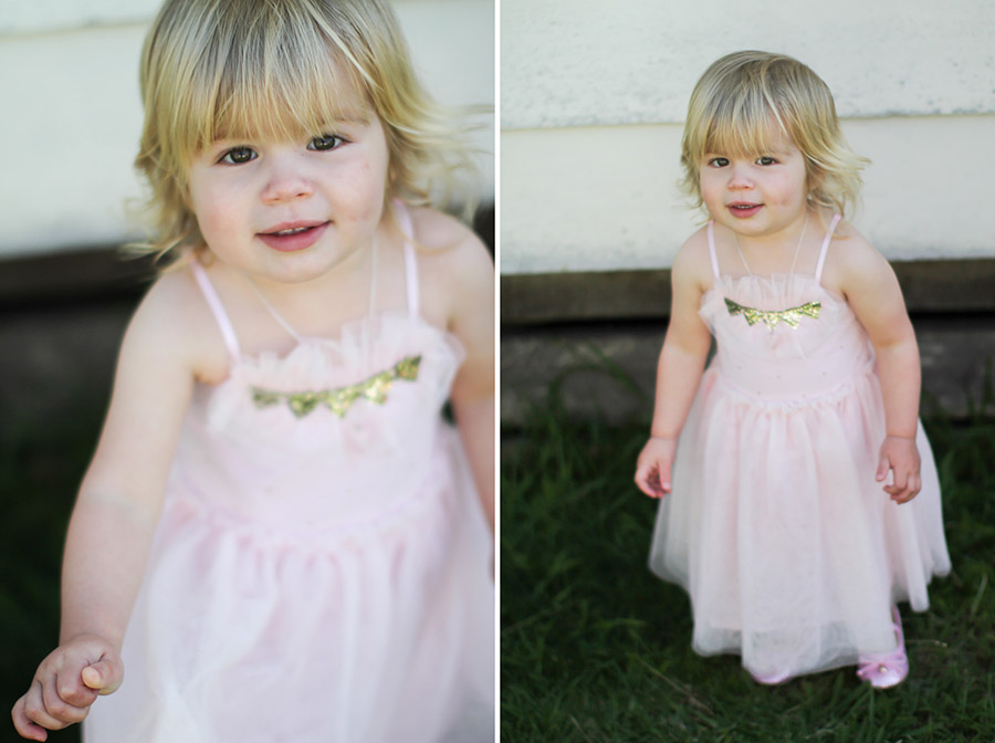 botanical_gardens_wedding_auckland-5