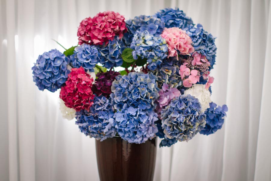 Beaufords_Totara_Park_Wedding_Auckland-13