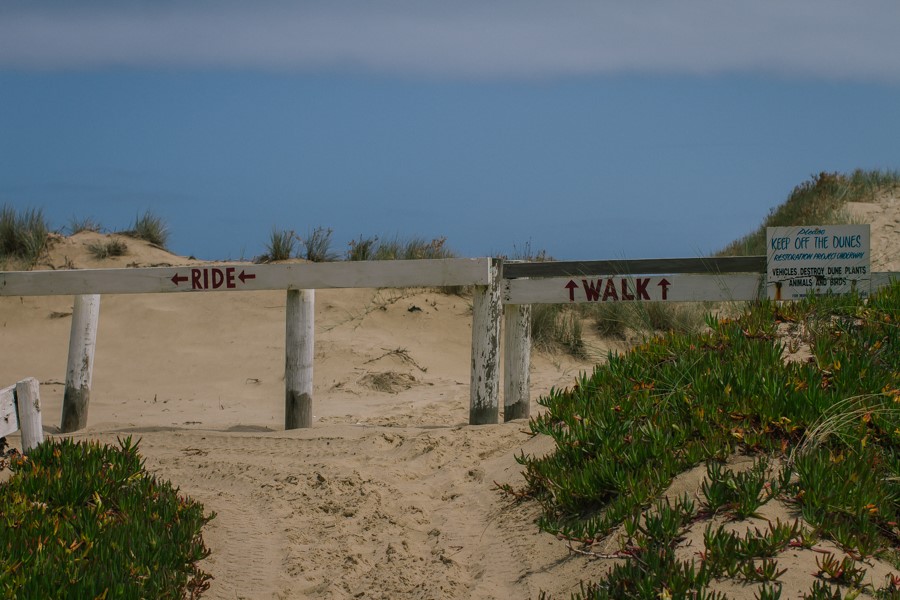 dargaville_wedding_nz_photographer_auckland-110