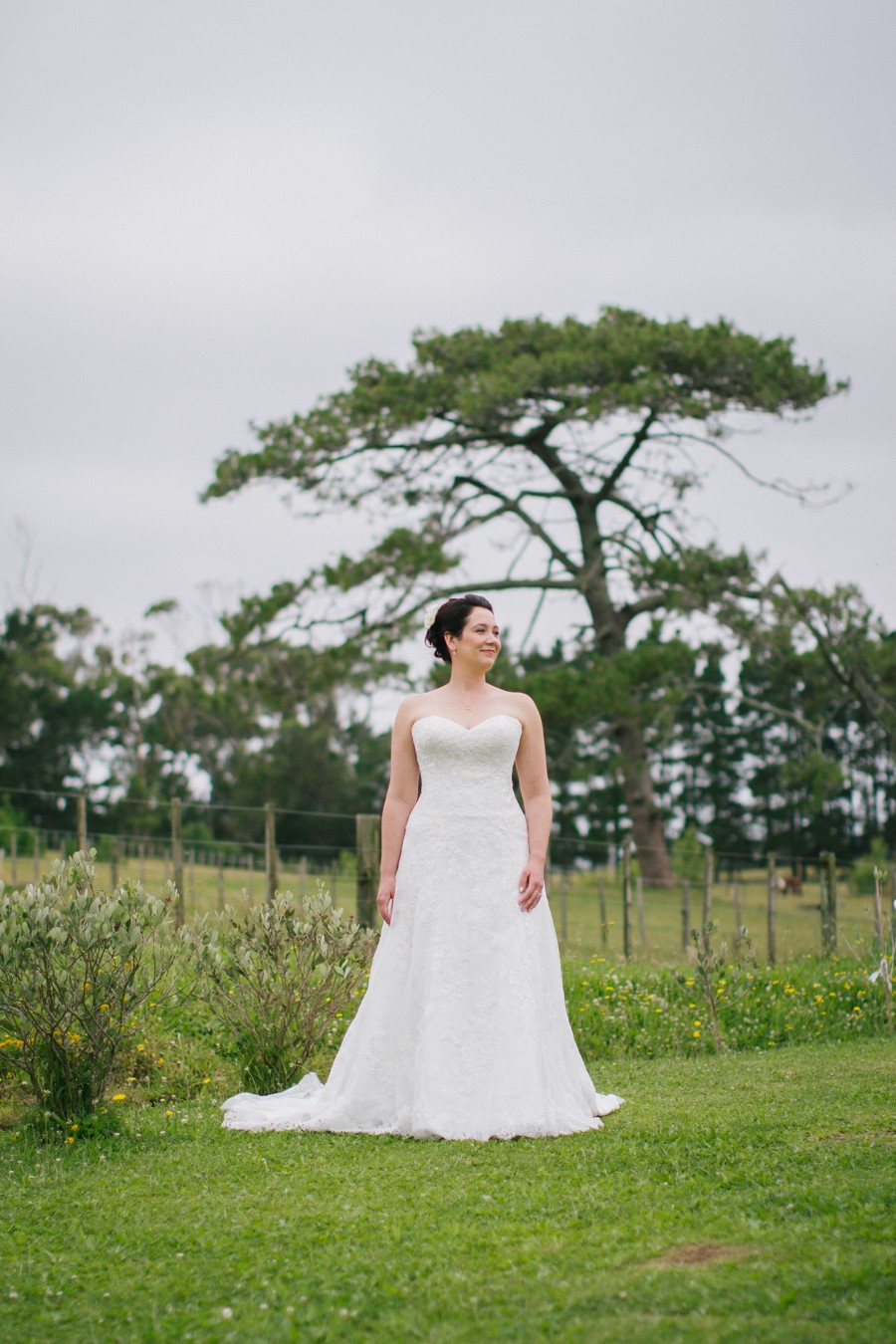 dargaville_wedding_nz_photographer_auckland-16